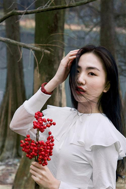 日本二区权限说明